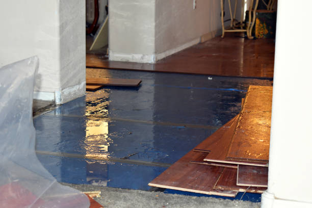 Professional Flood Damage Repair technician working in La Monte, MO